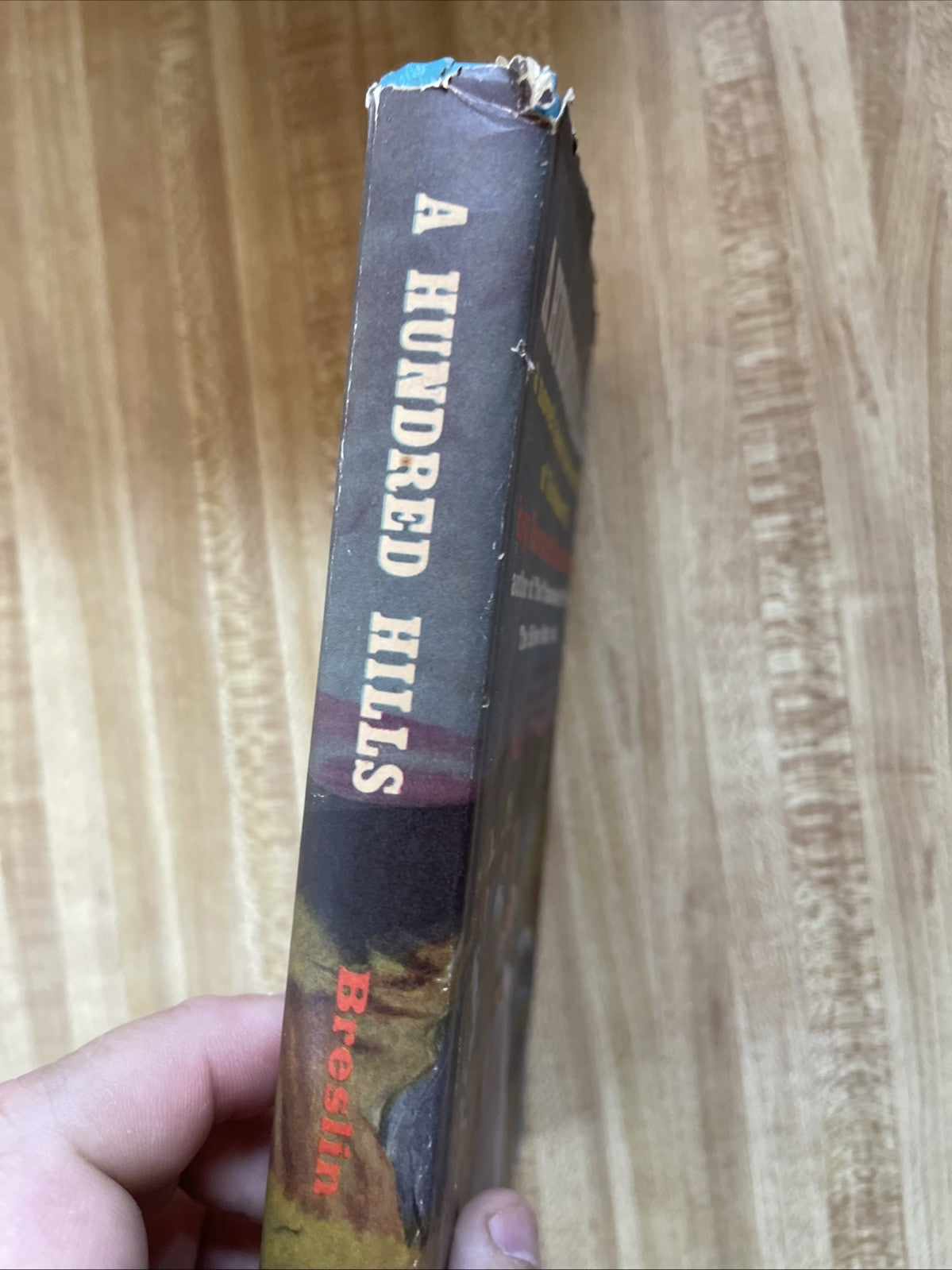 A Hundred Hills Hardcover 