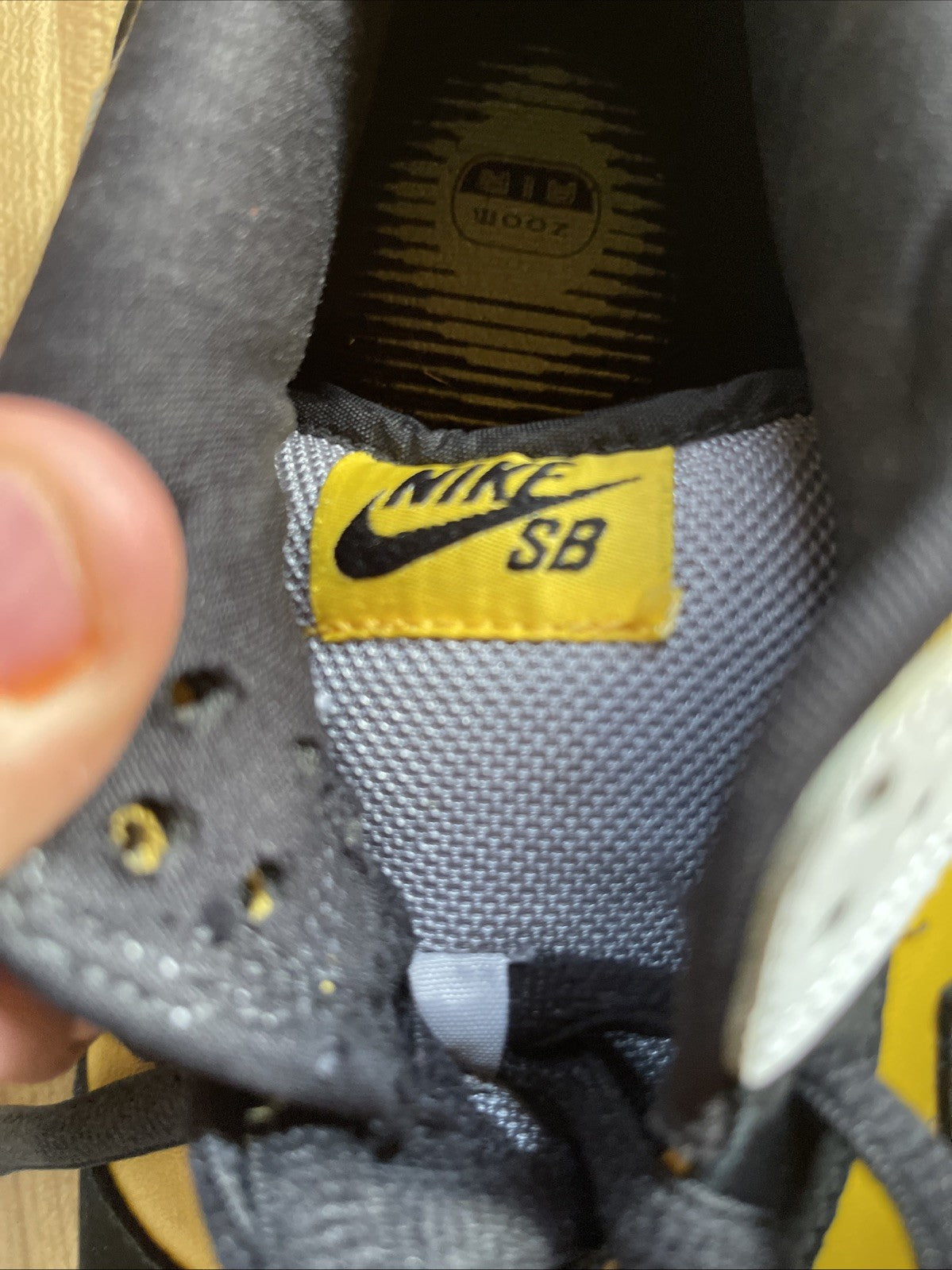 Nike  SB Dunk  Low Pro BIC 11