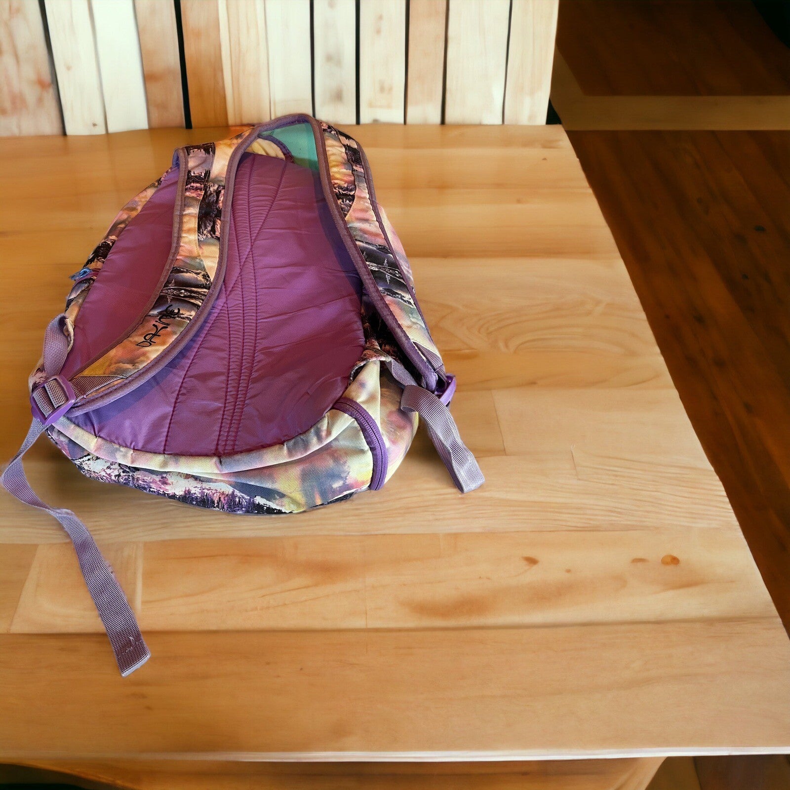 Dakine 25L Backpack