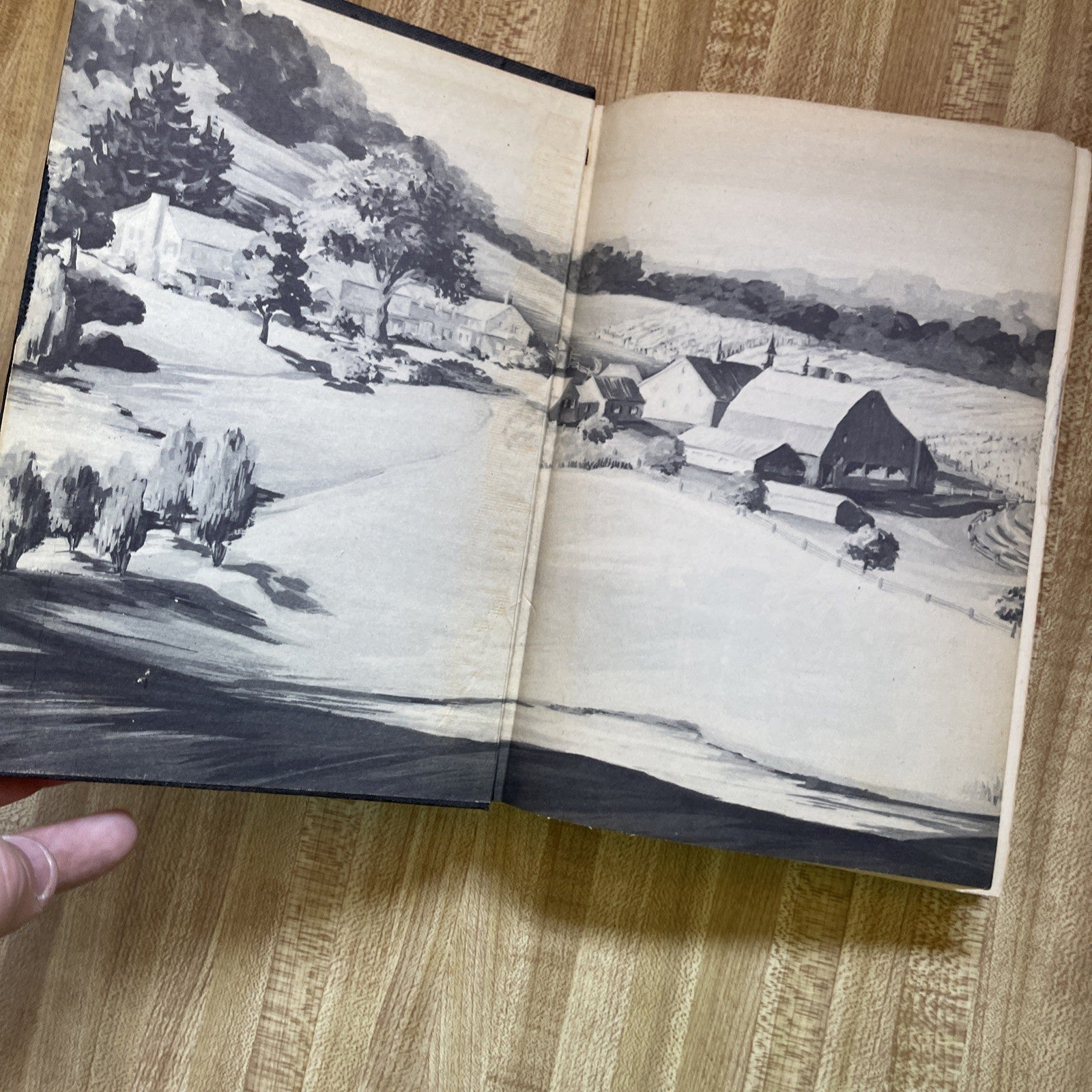 Pleasant Valley Hardcover 