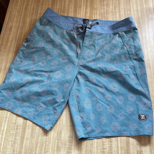Roark The Passage Series Board Shorts 32