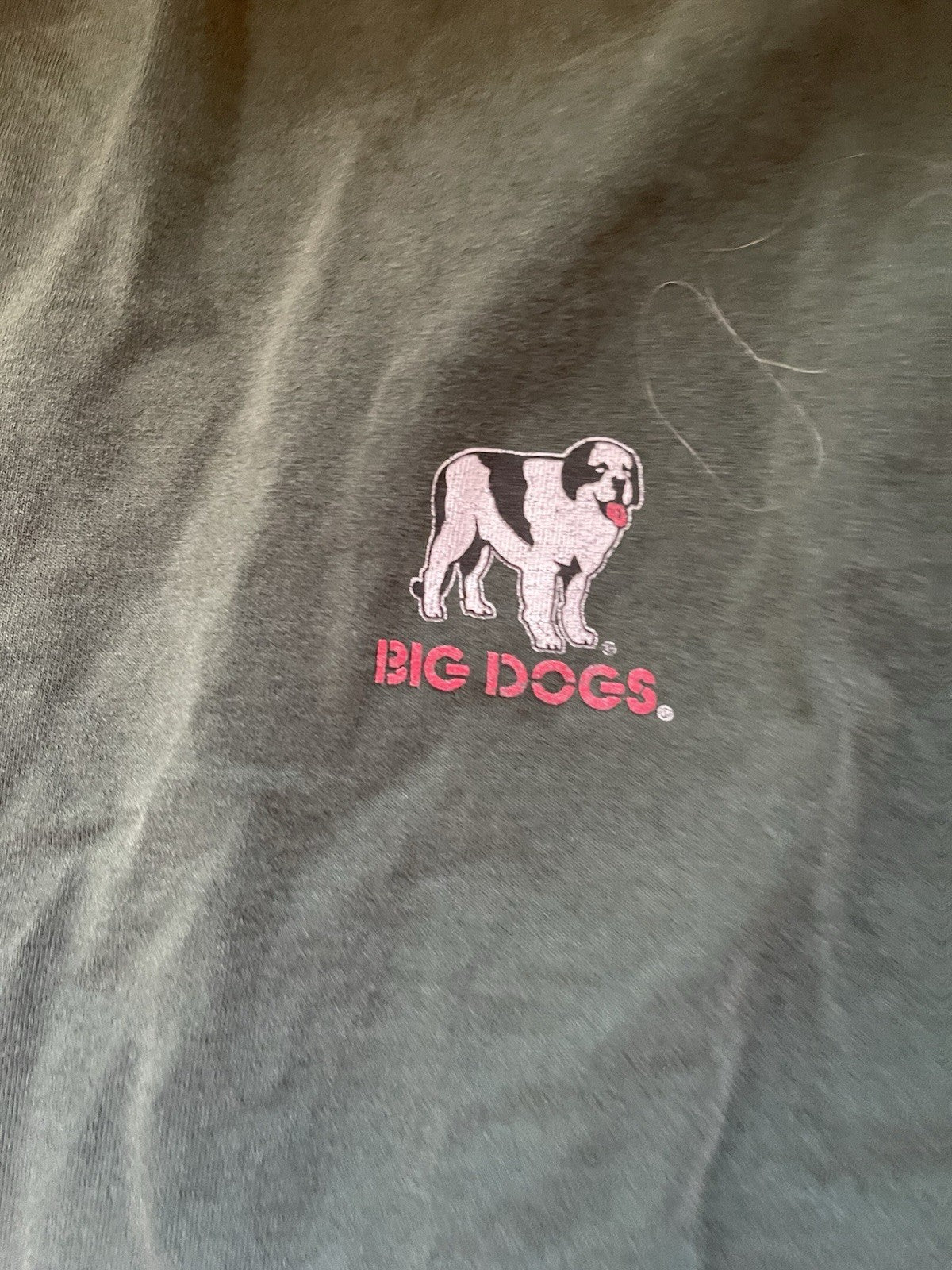 Big Dogs T Shirt 6XL