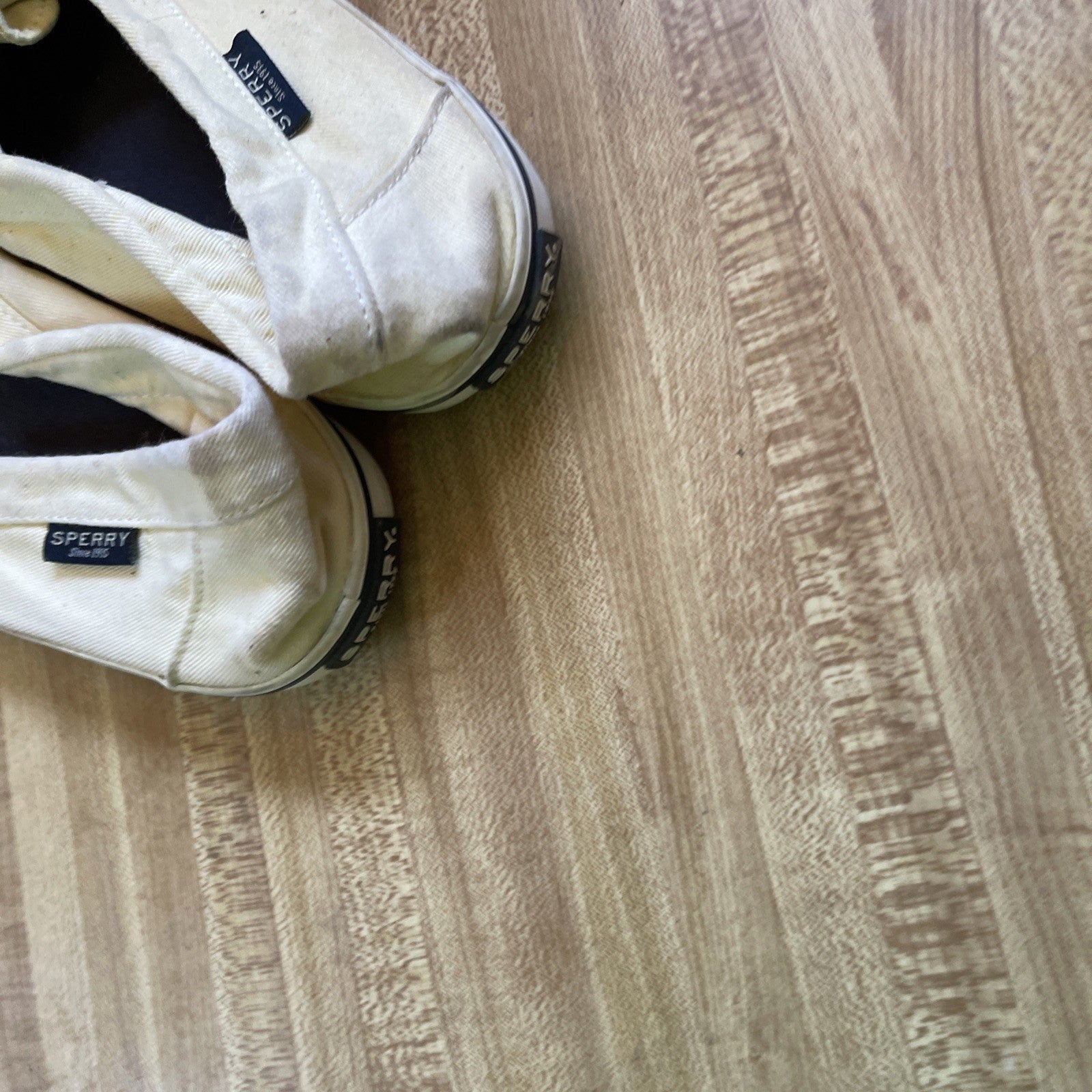 sperry top sider 10