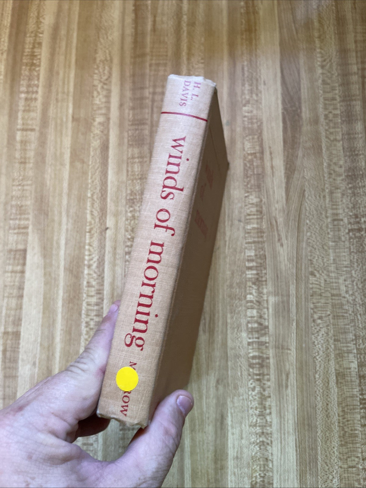 Winds Of Morning Hardcover 