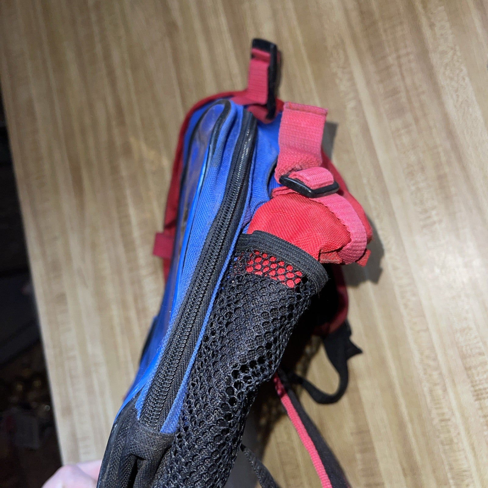 Disneyland 50th Anniversary Backpack 