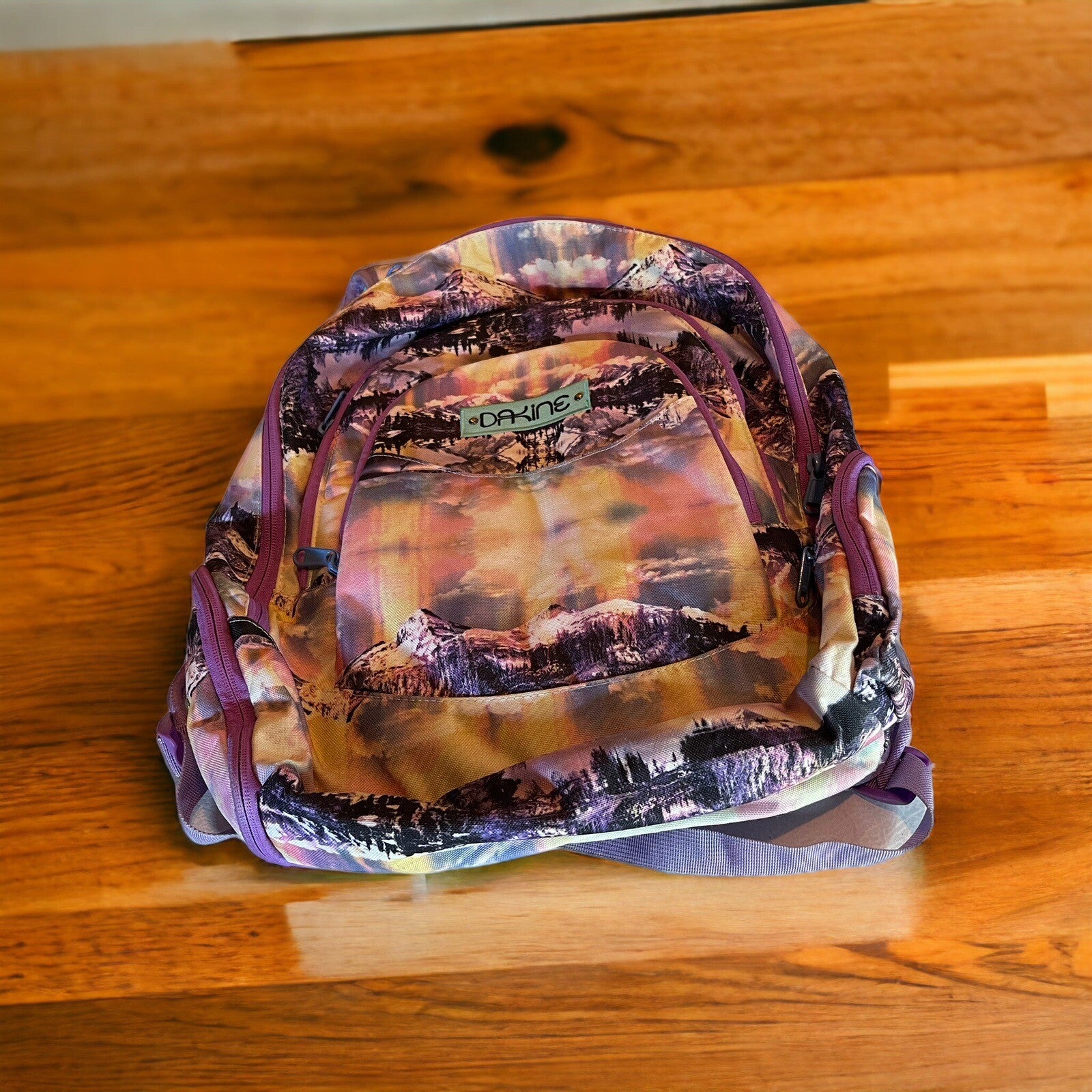 Dakine 25L Backpack