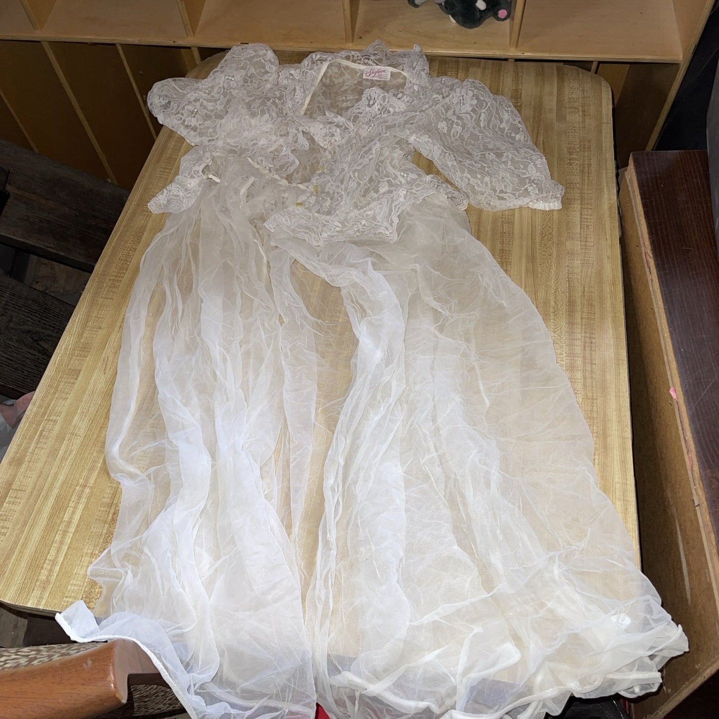 Vintage Shannon Lee Sheer Nightgown 