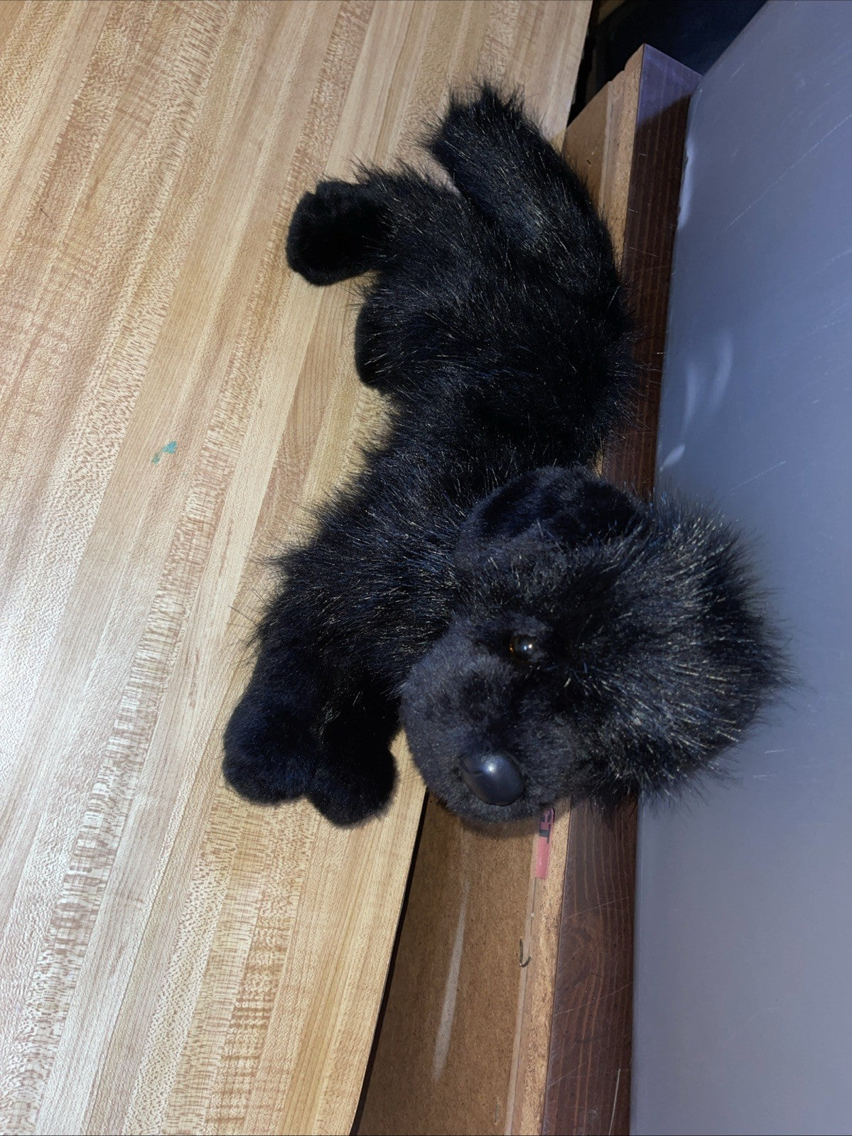 Douglas Dog Plush