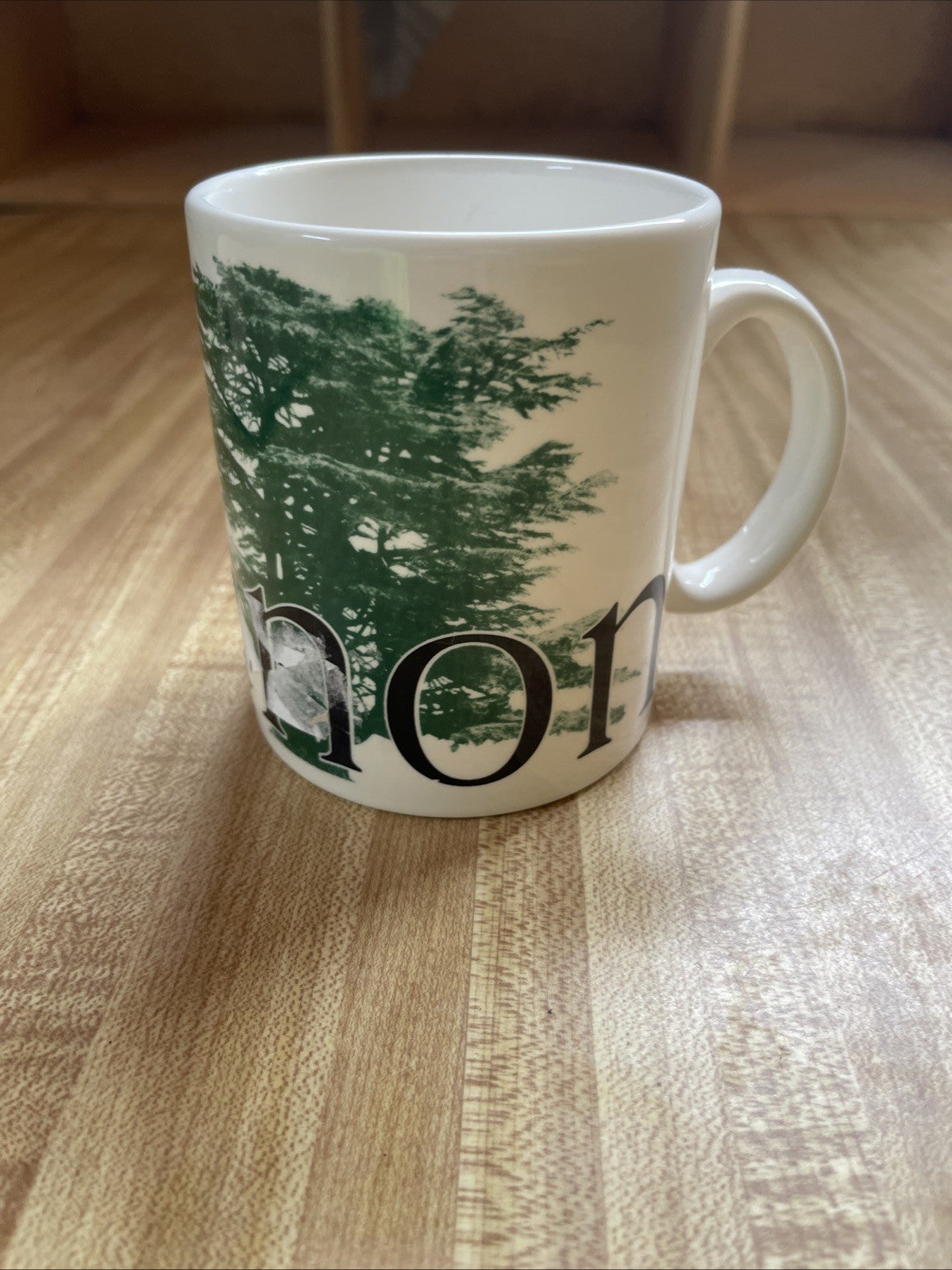 Starbucks Lebanon City Mug