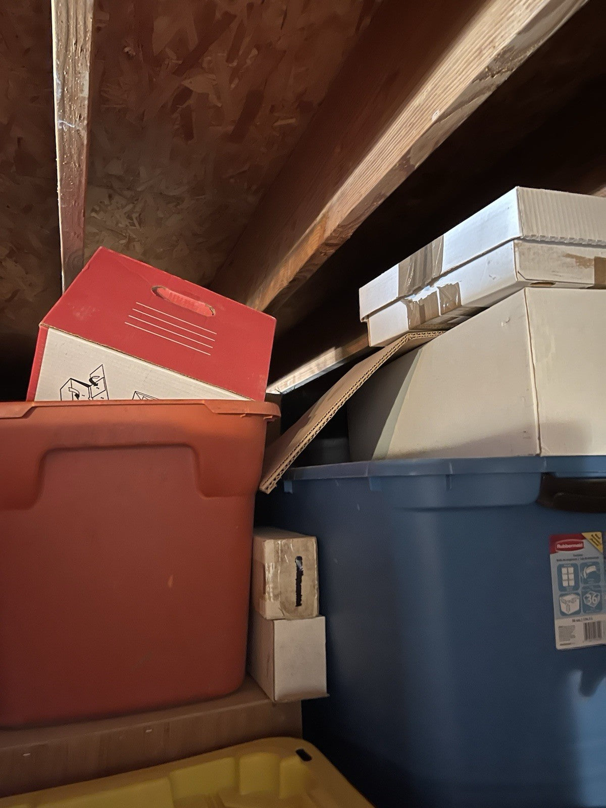 Massive Sports Card And Trading Card Collection 