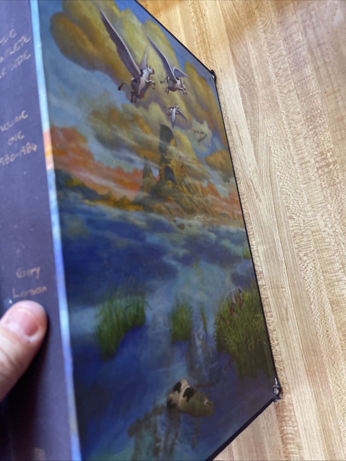 far side complete collection hardcover