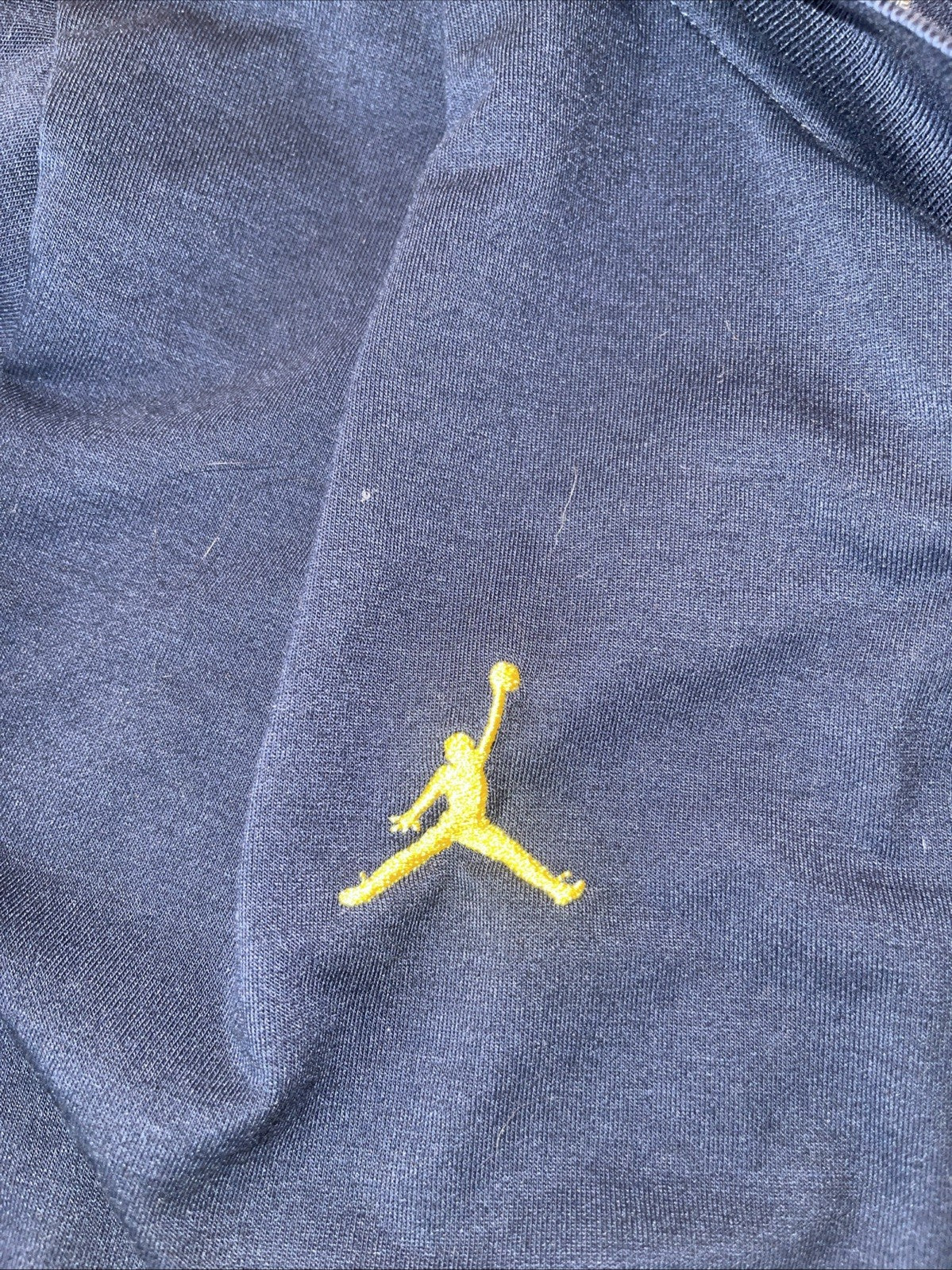 Jordan Michigan Polo Large 