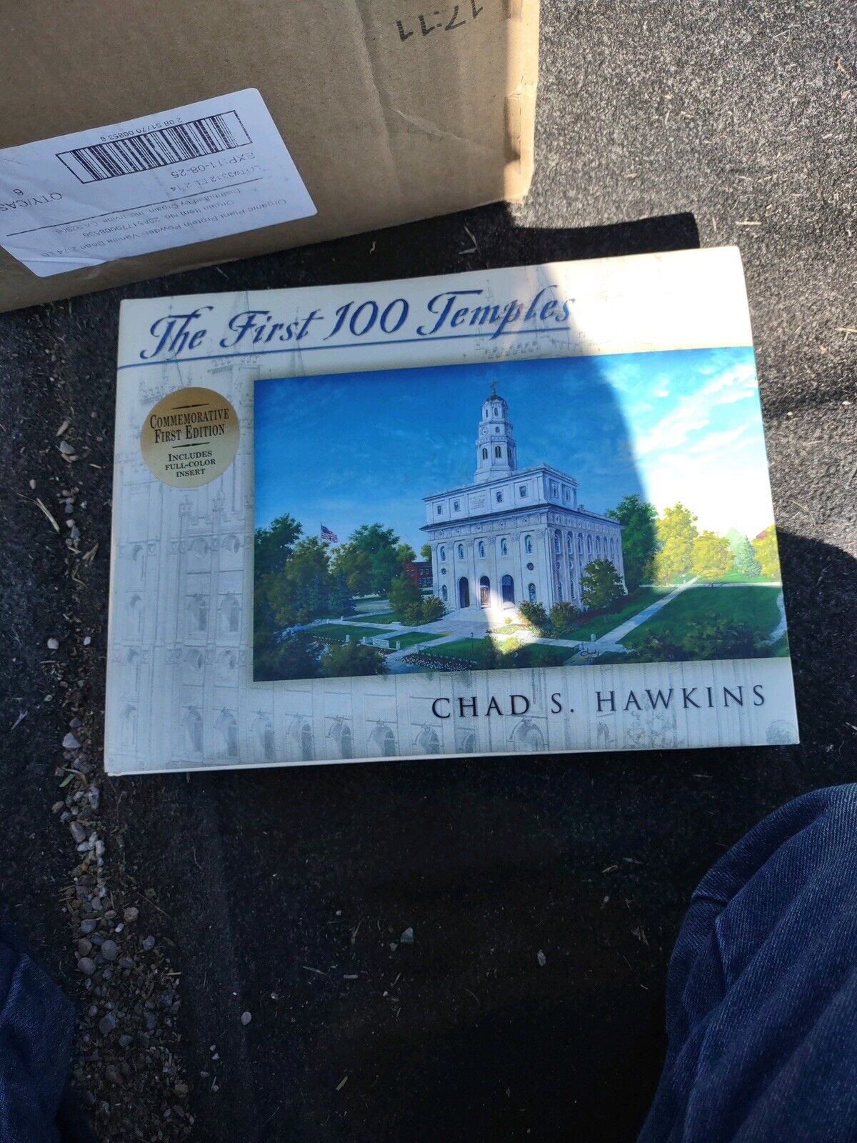 The First 100 Temples by Chad S. Hawkins (2000, Hardcover)