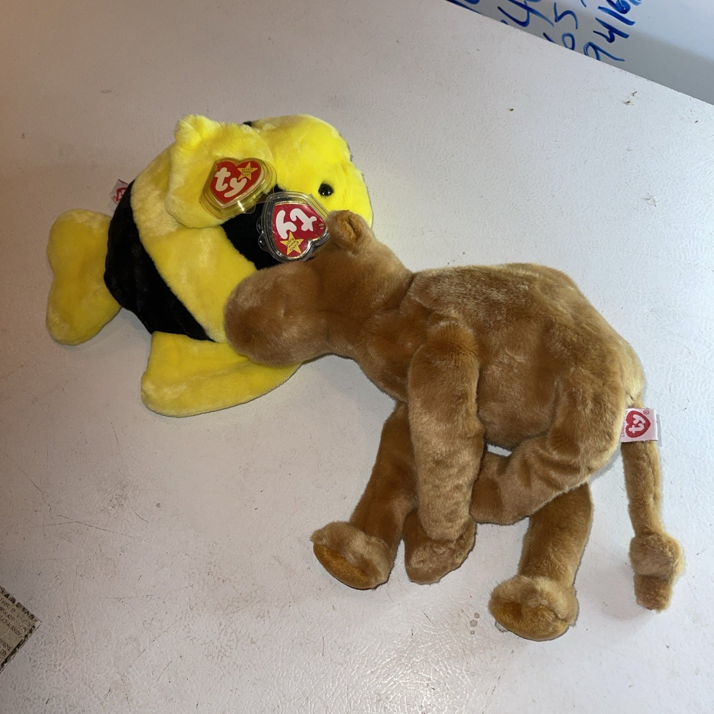 Huge Ty Beanie Babies Collection 