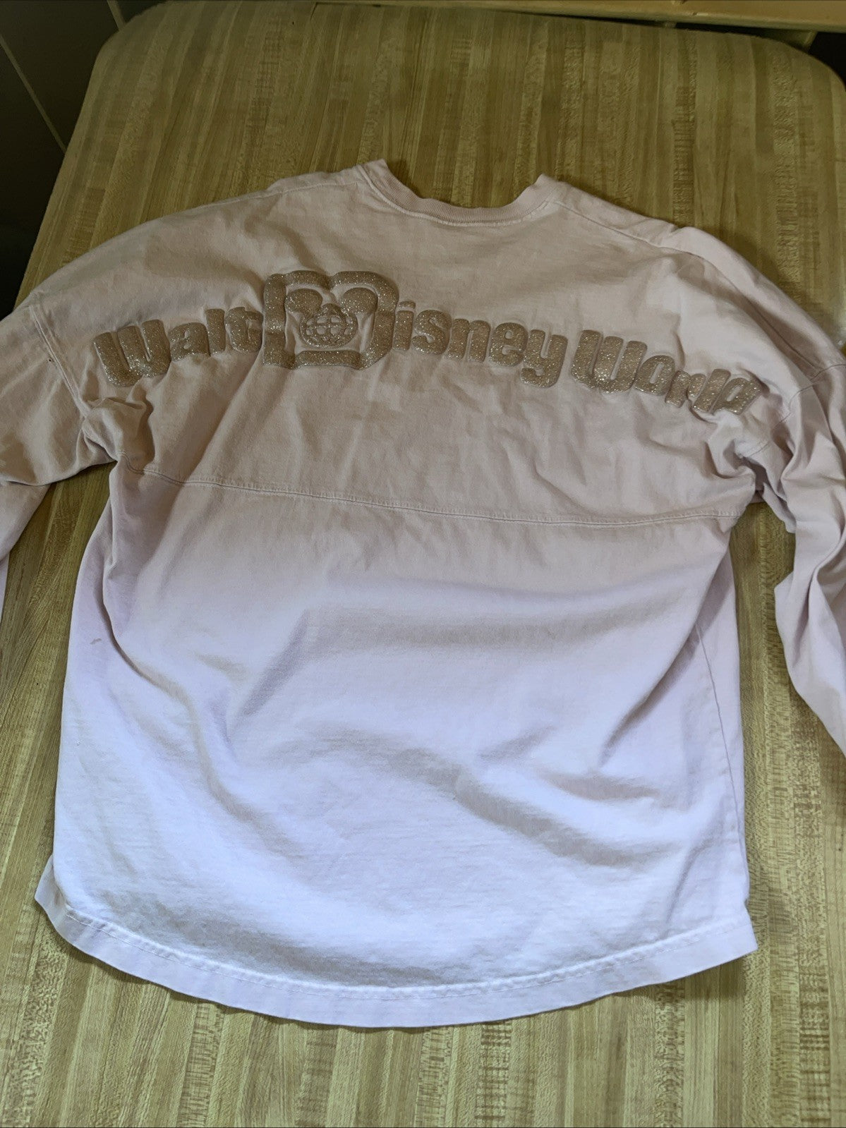 Disney Parks Spirit Jersey Small 