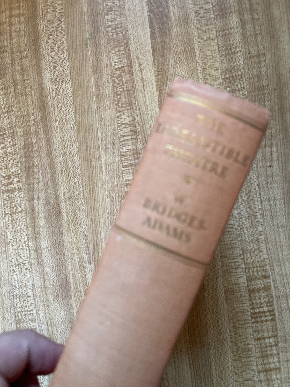 The Irresistible Theatre Hardcover 