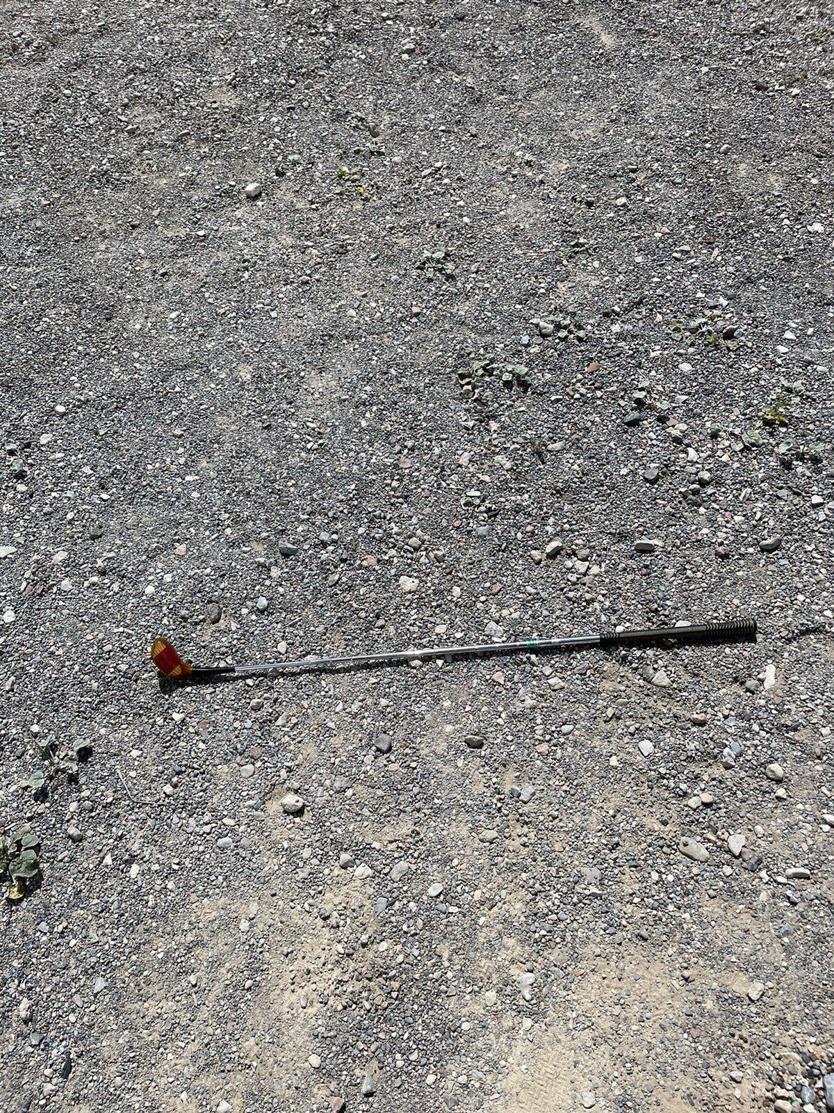 Vintage Wood Lynx 4 Wood