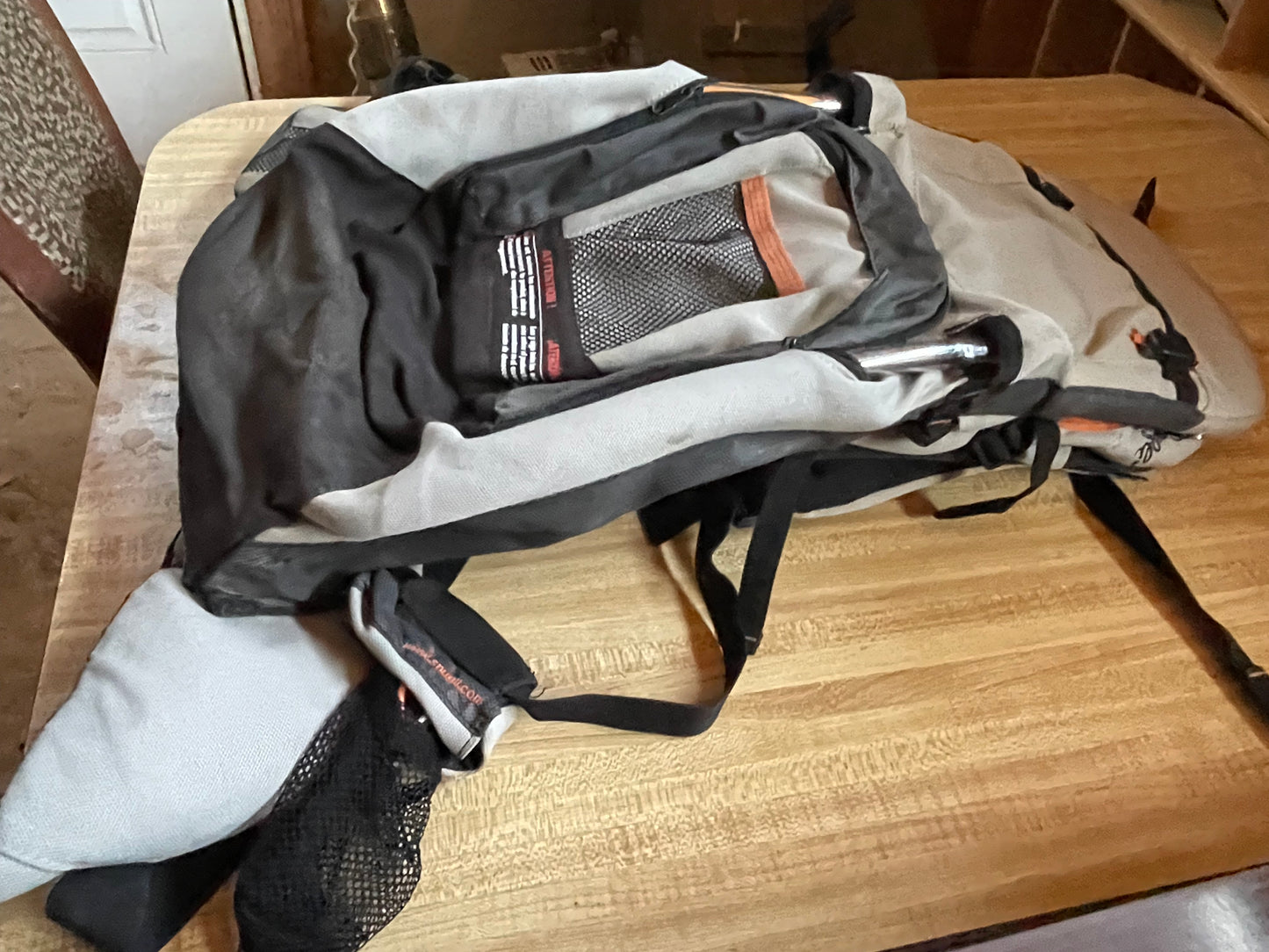 Snugli hiking carrier