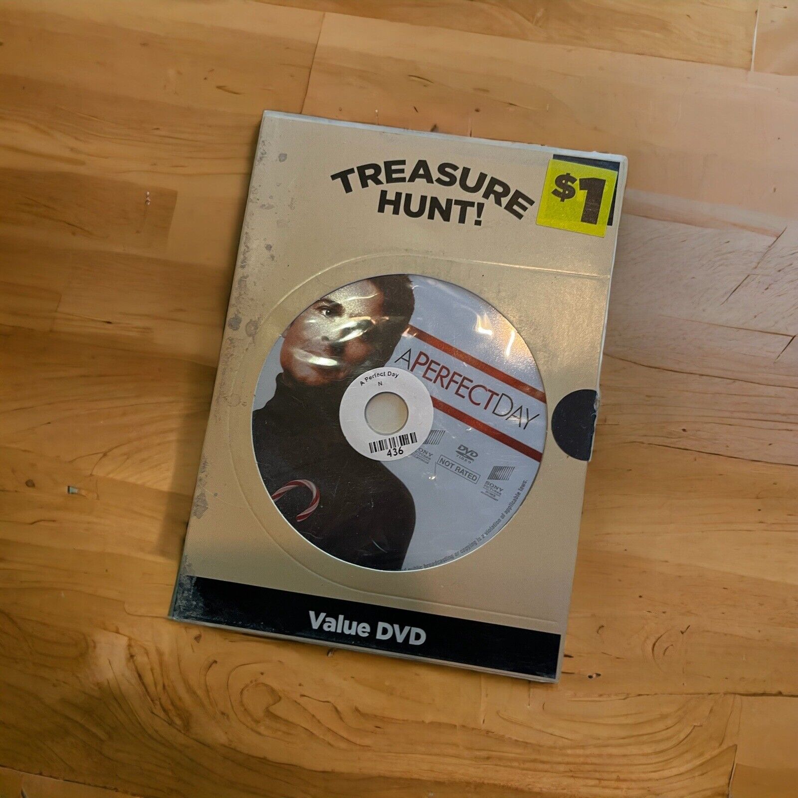 A Perfect Day 2006 DVD in a Treasure Hunt value DVD case priced at one dollar