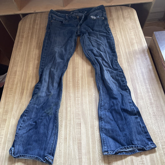 American Eagle artist Jeans 2 Short