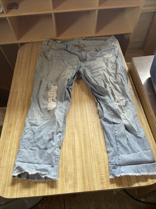 Torrid Boyfriend Jeans 24 Distressed