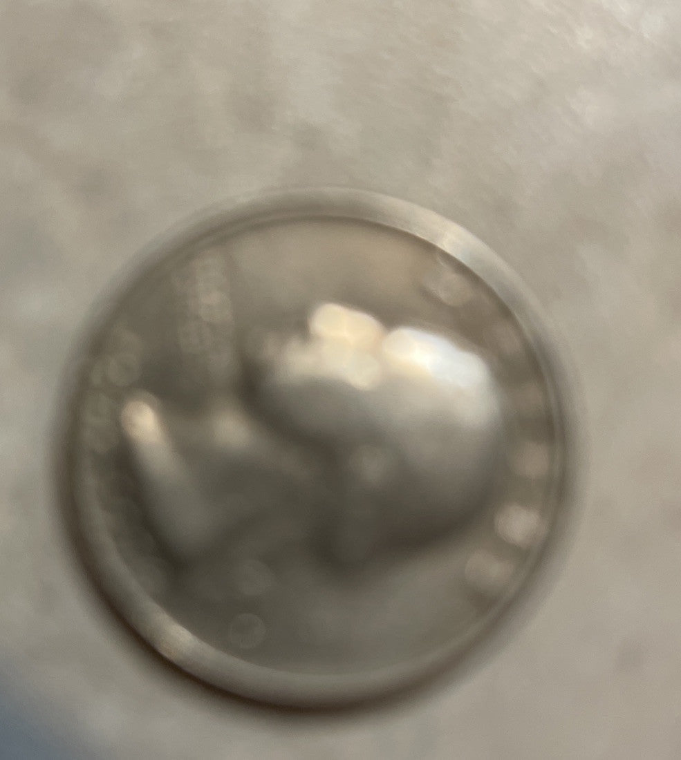 Bicentennial Quarter 