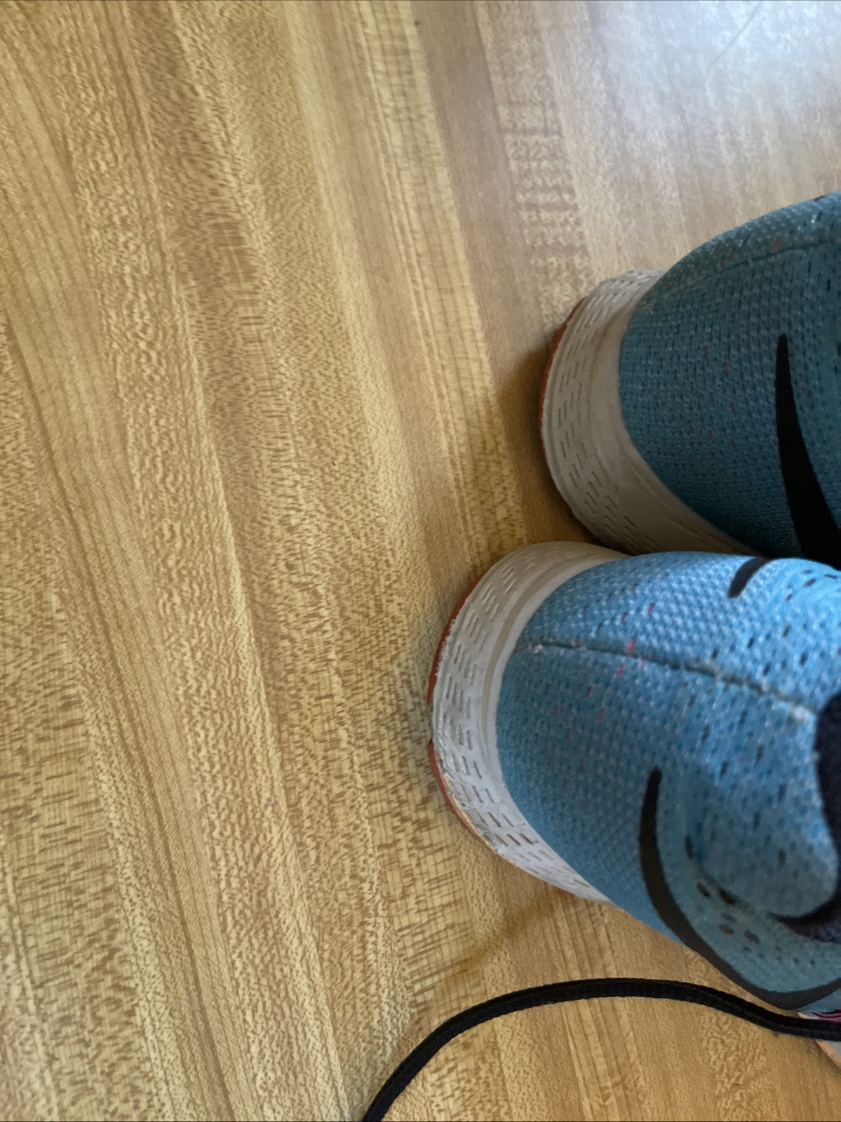 Size 10 - Nike Zoom Pegasus 32 Blue
