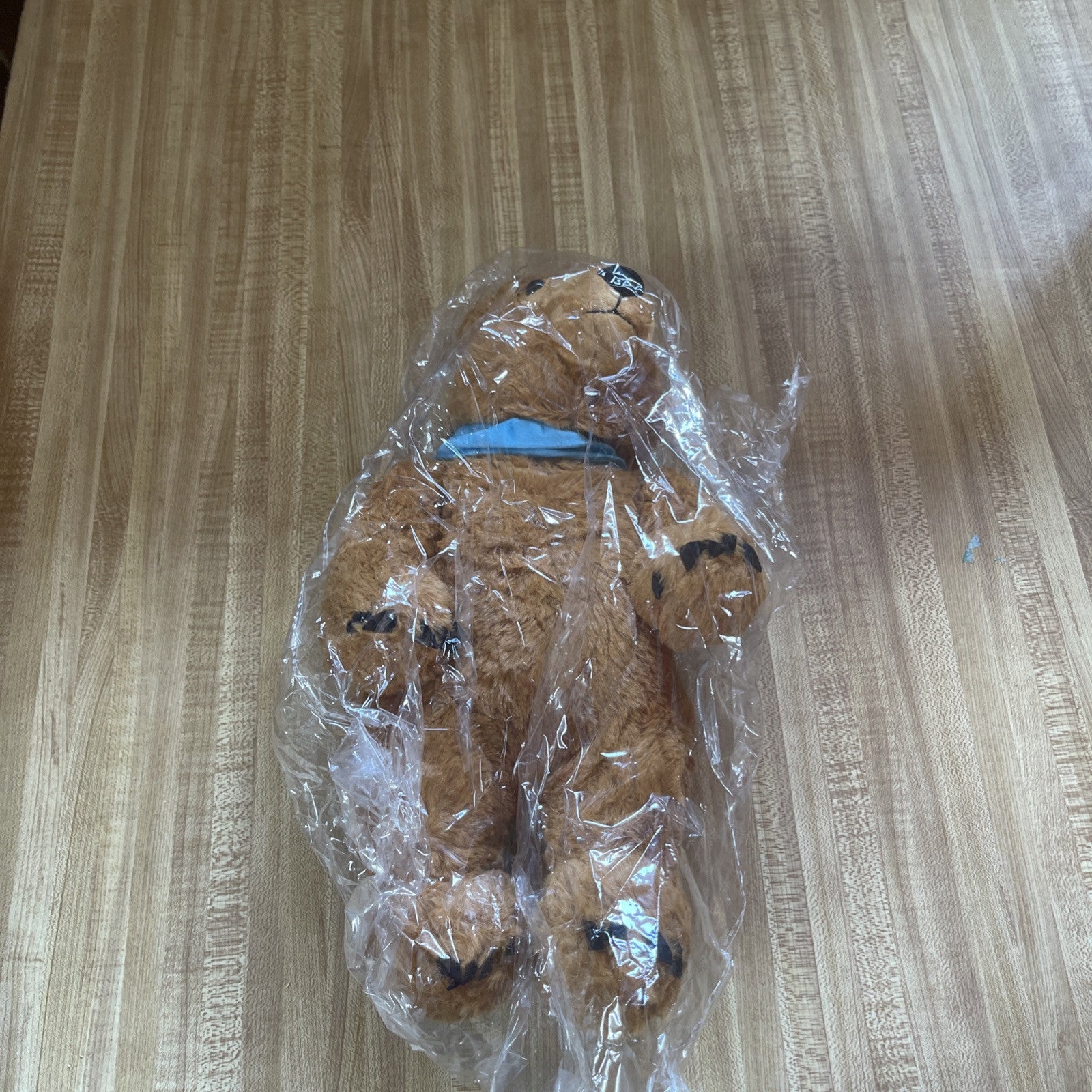 This Is Lodge Vegas Collectible Plush Bear New