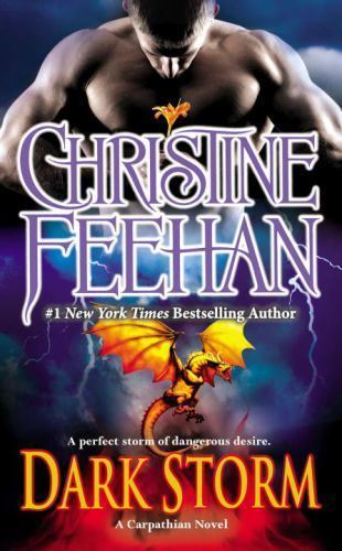 Dark Storm by Christine Feehan (2013, Mass Market)